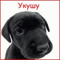 99px.ru аватар укушу