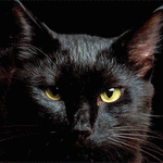 99px.ru аватар черная кошка с мигающими глазами