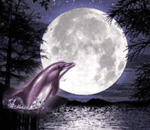 99px.ru аватар дельфин на фоне луны