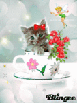 Аватар котик в кружке