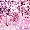 Аватар winter