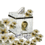 Аватар шкатулка