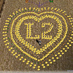 Аватар lineage 2, l2, ла2 серце выложено из аден нр банок,ср банок