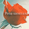99px.ru аватар Роза шептала