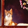 Аватар грустный рыжий кот