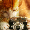 Аватар играет с фотоаппаратом