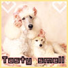 Аватар testy smell