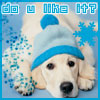 99px.ru аватар do you like it?