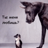 99px.ru аватар ты меня любишь?