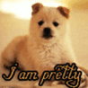 Аватар i am pretty
