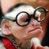 99px.ru аватар обезьяна в очках