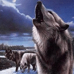 99px.ru аватар волки воют в ночи