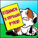 Аватар Отдамя в хорошие руки