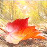 99px.ru аватар Осенний дождь и лист клена