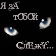 Аватар я за тобой слежу