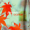 Аватар Дыхание осени