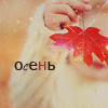Аватар осень