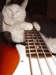 99px.ru аватар кот гитарист