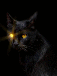 99px.ru аватар черная кошка
