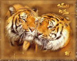 99px.ru аватар нежные тигры