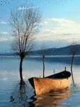 Аватар Лодка на реке и вода шевелится