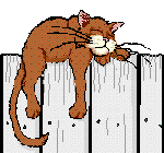 99px.ru аватар кот развалился на заборе