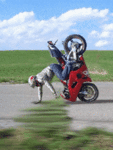 99px.ru аватар Мотоциклист едет на одном колесе и помогает себе руками