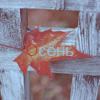 99px.ru аватар Осень