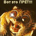 Аватар вот это прёт!!! чудик
