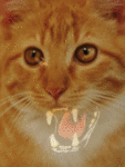 99px.ru аватар кошка-пантера