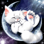 Аватар котик спит на месяце