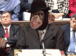 99px.ru аватар обезьяна на конгрессе