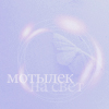 Аватар мотылек на свет