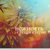 Аватар нежность глупая стерва