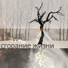 99px.ru аватар Сгорание жизни