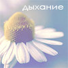 Аватар Дыхание