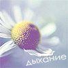 Аватар Дыхание