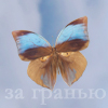 Аватар За гранью