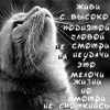 Аватар Живи с высоко поднятой головой....