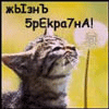 Аватар Жизнь прекрасна