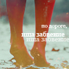 Аватар По дороге,ища забвение