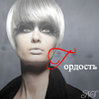 Аватар гордость