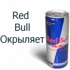 Аватар RED BULL
