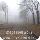 Аватар терзает ночь мои опухшие веки