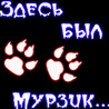 Аватар Здесь был Мурзик