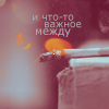 99px.ru аватар и что-то важное между