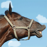 99px.ru аватар лошадь и облака