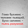 99px.ru аватар гомобухиенс-человек пьющий,бухосапиенс-пьянь разумная