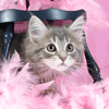 Аватар кошечка