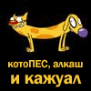 Аватар Котопес,алкаш и кажуал